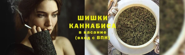 дмт Краснослободск