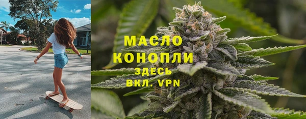 дмт Краснослободск