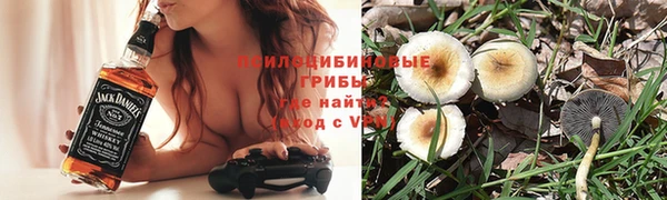 стафф Коряжма