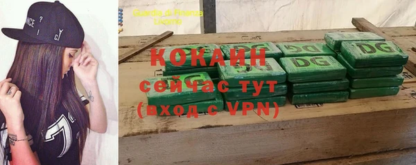 стафф Коряжма