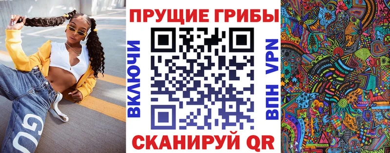 Галлюциногенные грибы MAGIC MUSHROOMS  мориарти Telegram  Киржач  как найти наркотики 