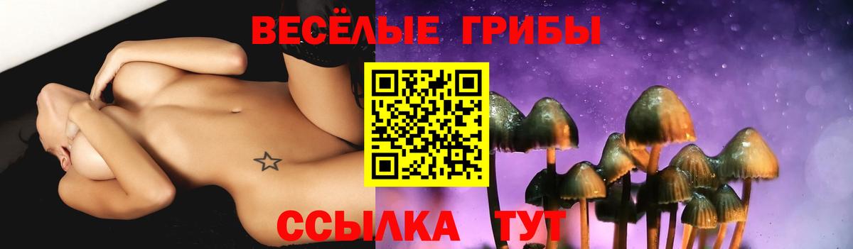 Псилоцибиновые грибы прущие грибы  Вход с VPN  Псилоцибиновые грибы Psilocybine cubensis  Киржач 